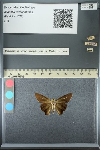 Media type: image;   Entomology 186744